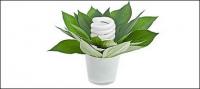 Green plants and energy-saving lamps picture material