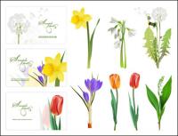 Some flowers Vector			