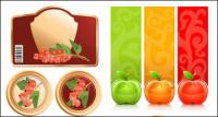 Fruit and Vector Graphics	