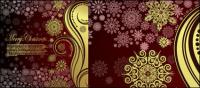 Pattern background - Vector
