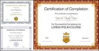Vector three certificate design