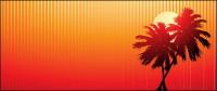 Sunset coconut vector video material