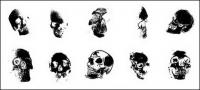 Go Media produced vector material - human skull