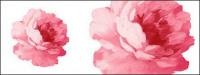 Hand-painted flowers layered material psd-4