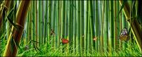 Bamboo and butterfly