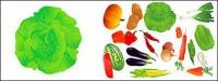 Vector fruits and vegetables