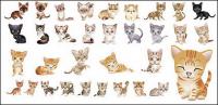 lovely small cat vector material