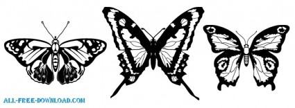 vector butterflies