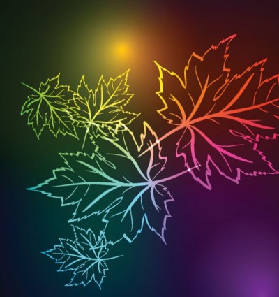beautiful maple leaf background vector