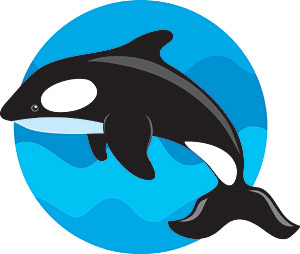 Jumping the whale vector