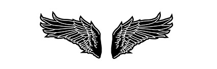 Black and white wings of vector