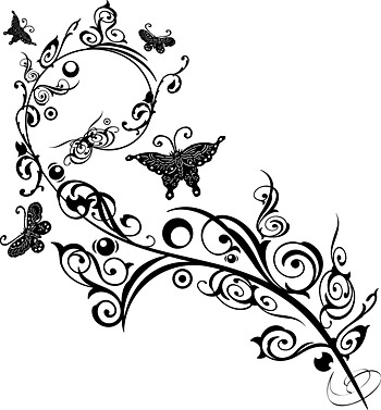 Butterfly and patterns  Vector