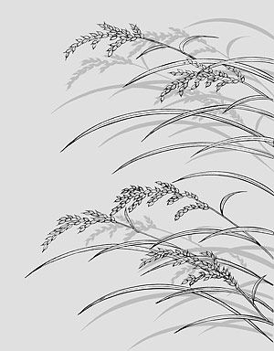 Line drawing of flowers -23
