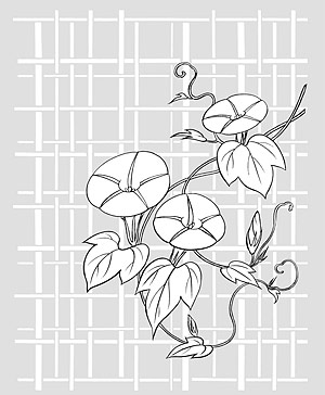 Vector line drawing of flowers-26(Morning glory, lattice background)