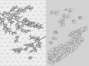 Vector line drawing of flowers-34(Maple Leaf)