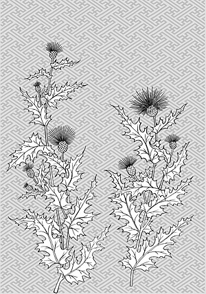 Line drawing of flowers -10