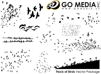 Go Media produced vector material - Birds in Pictures