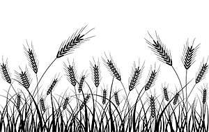 Wheat silhouettes vector material