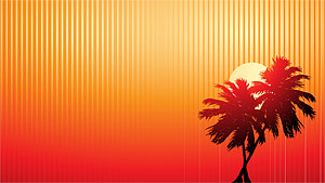 Sunset coconut vector video material