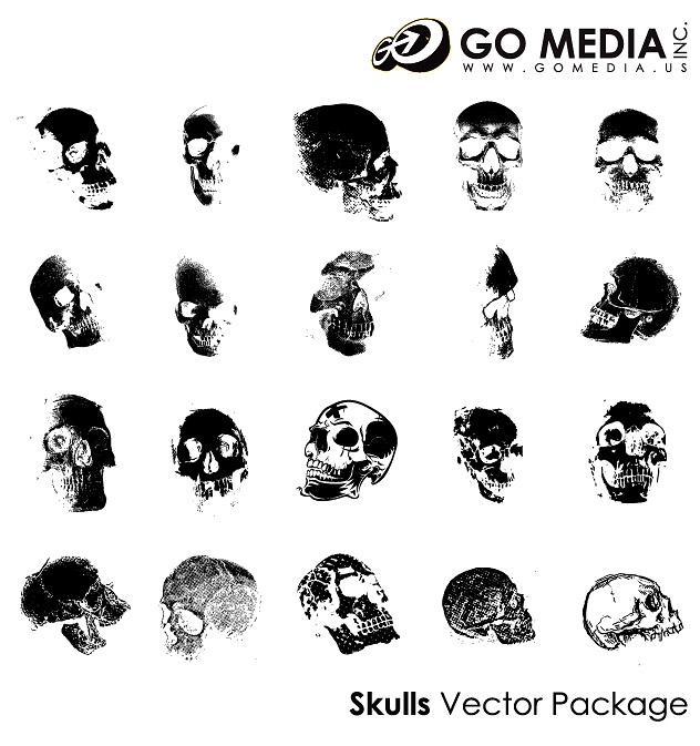 Go Media produced vector material - human skull