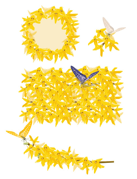 Golden yellow flowers and butterflies