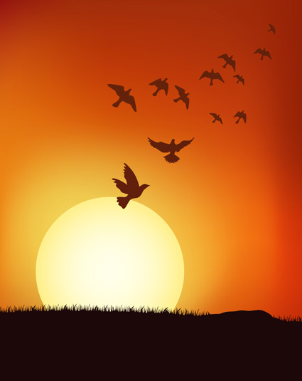 bird populations under the Sunset vector material