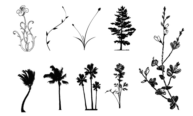Trees, flowers, rattan vector case material
