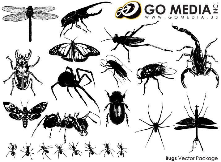 Go Media material produced vector - insect