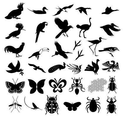 Hundreds of the elements of nature in Pictures vector material