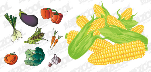 Vector material common fruits and vegetables