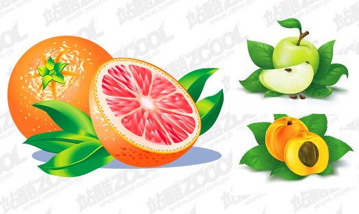Oranges, apples, Peach vector material