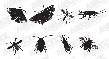 Black and white insect vector material