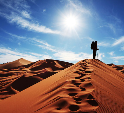 Walk the desert