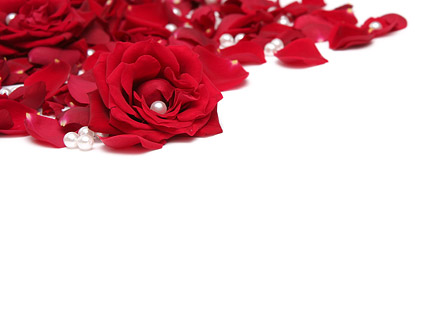 Pearl red rose petals