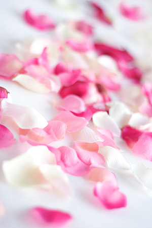 Rose petals picture