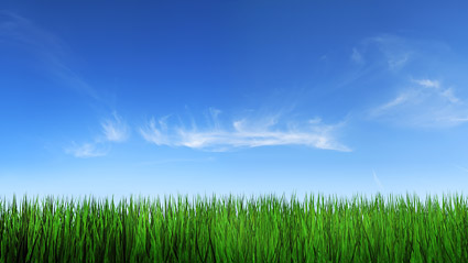 Grass sky picture material-4