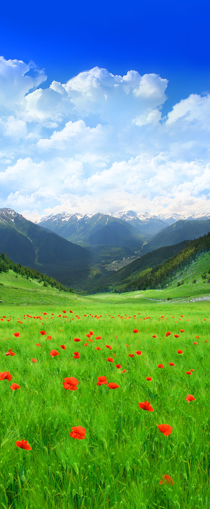 Beautiful countryside scenery picture material