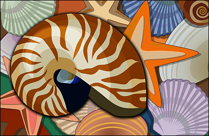 Conch, shells, starfish psd layered material