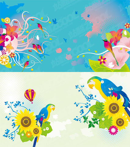 Colorful bird theme vector material