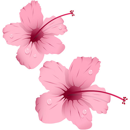 Water with pink flowers vector material