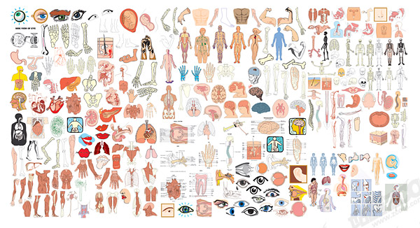 The structure of human organ parts of vector