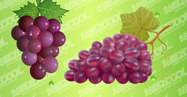 bunch of grapes vector material