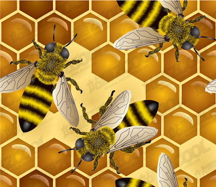 Bee theme vector illustration material