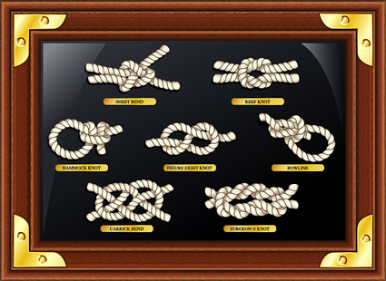 Vector rope and frame material