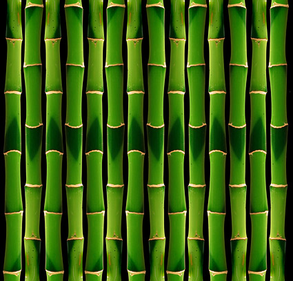 Green bamboo background of the picture material-2
