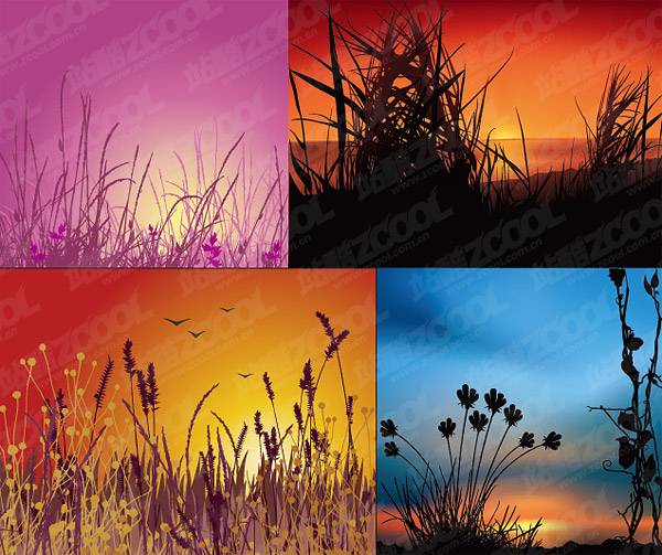 sunset scenery vector material