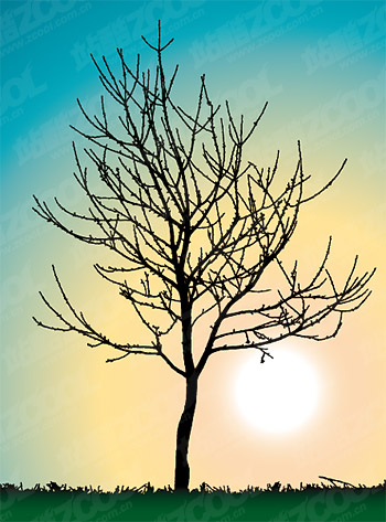 trees no leaves vector material
