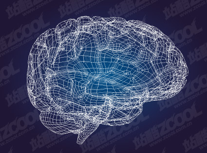 3D model of the brain-style vector material