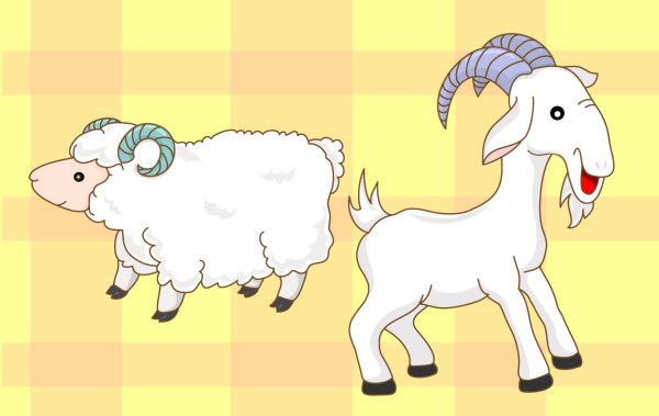 goats, sheep