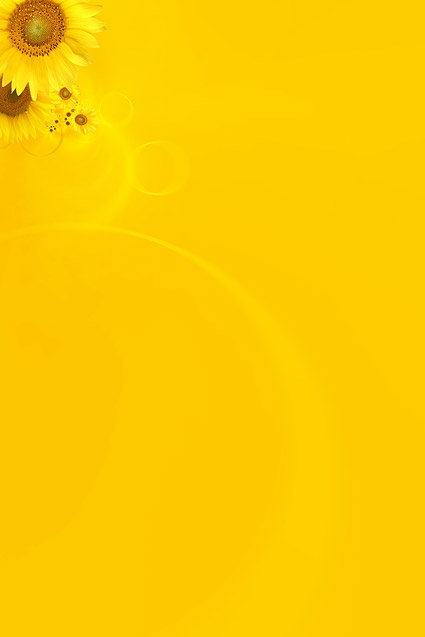 Sunflower picture background material-9